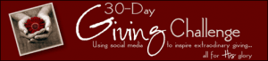 30 Day Giving Challenge: Donating Gently Used Toys