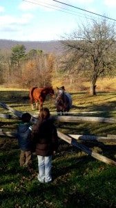 Wordless Wednesday: Going Home