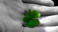 emmasfourleafclover2 emmasfourleafclover2