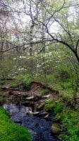 whiteflowertree whiteflowertree