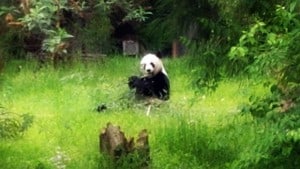 Wordless Wednesday: Zoo Day