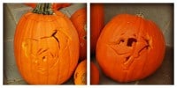 pumpkincollage pumpkincollage
