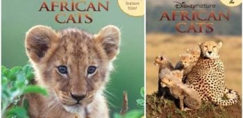 AfricanCats