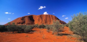 Vegetation in Front of Ayers Rock